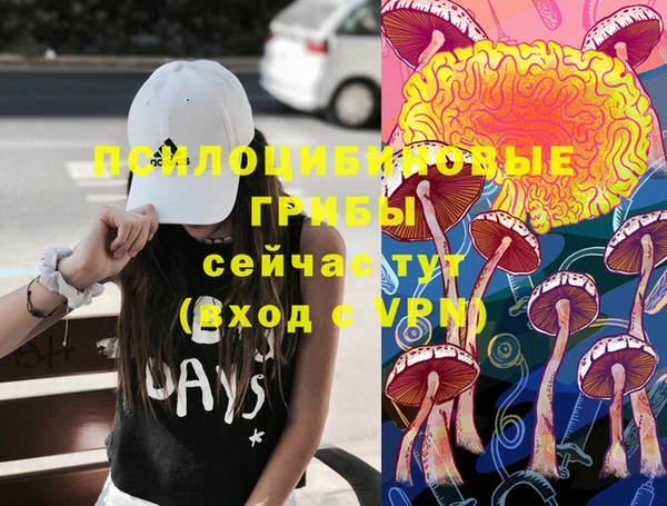 спиды Богородск