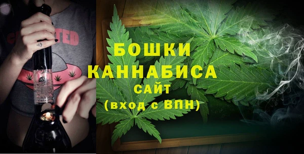 спиды Богородск